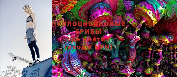 ПСИЛОЦИБИНОВЫЕ ГРИБЫ Кулебаки
