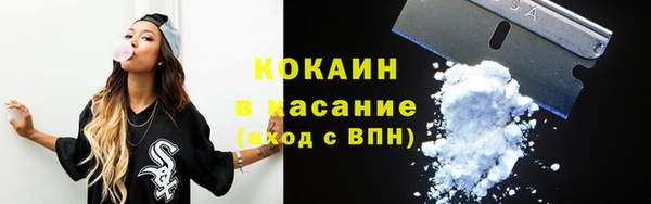 твердый Краснослободск