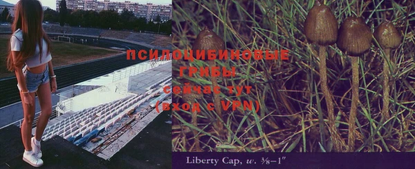 бошки Куйбышев