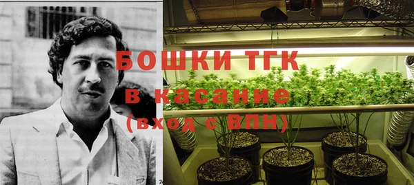 ПСИЛОЦИБИНОВЫЕ ГРИБЫ Кулебаки