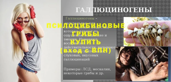 ПСИЛОЦИБИНОВЫЕ ГРИБЫ Кулебаки
