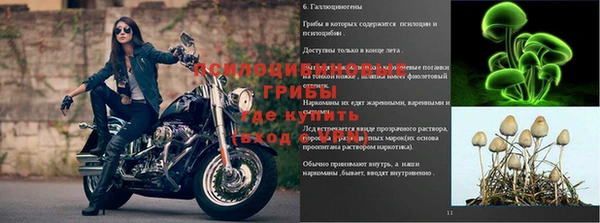 твердый Краснослободск