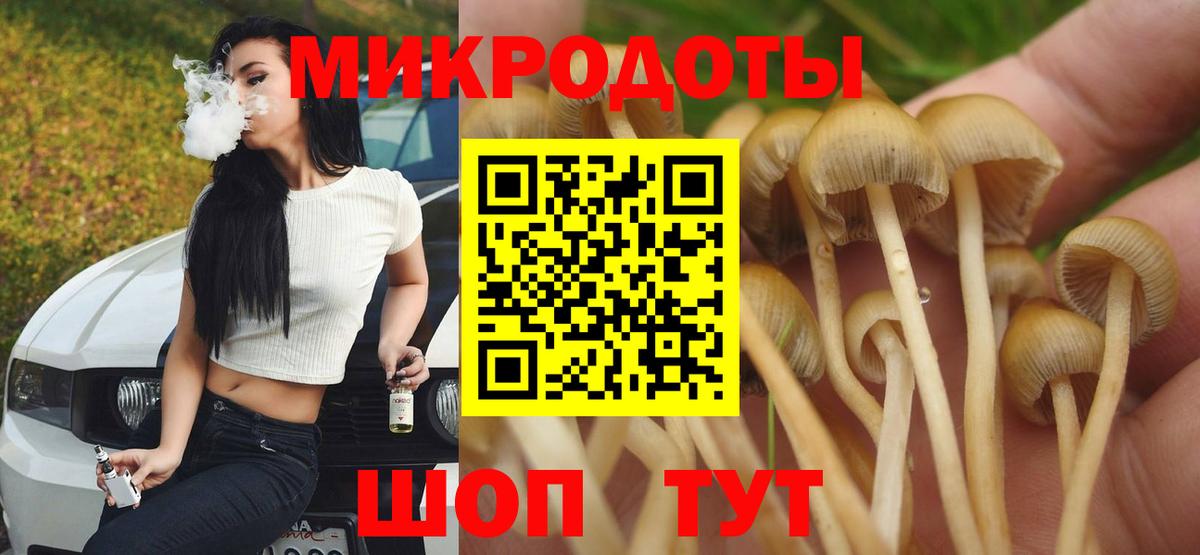 Галлюциногенные грибы мухоморы  Вход с VPN  Костомукша 
